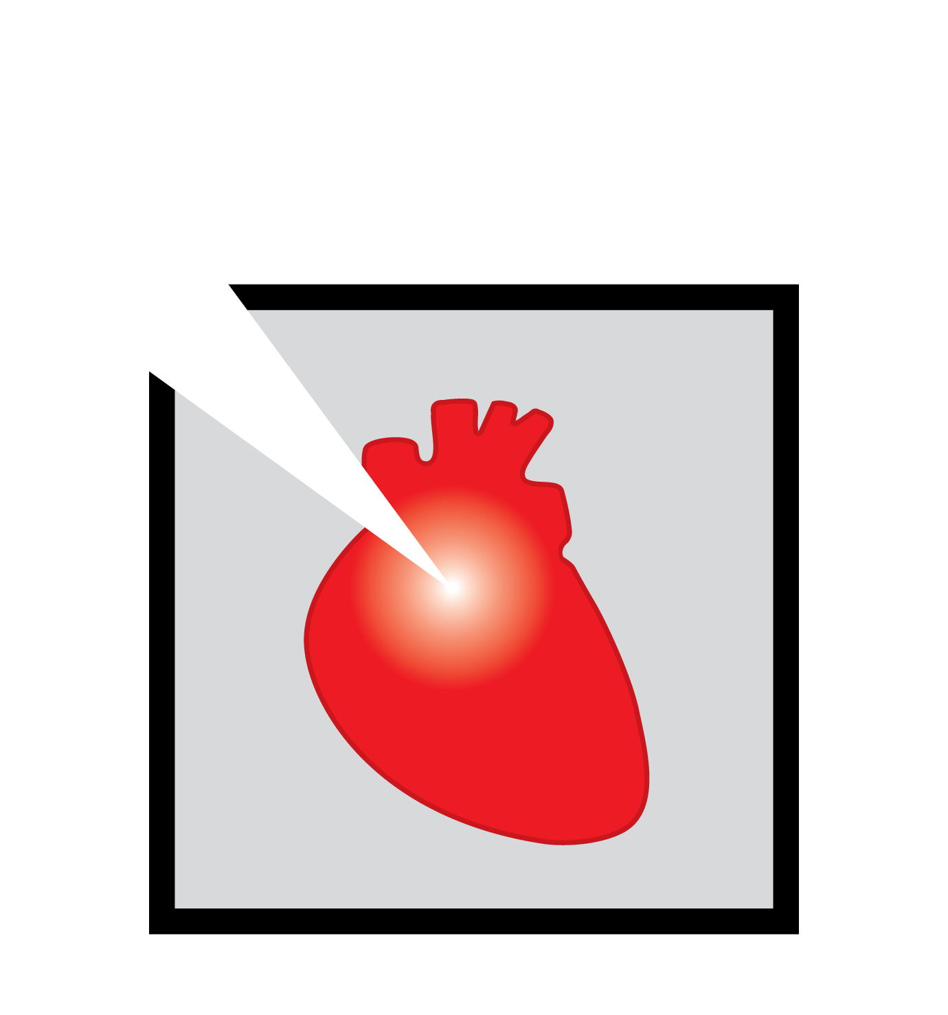 Vademecum CACI